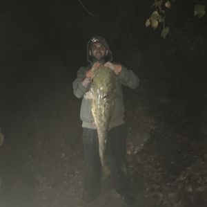 Meet your Posher, Billy